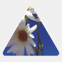 Pretty Daisies Sticker