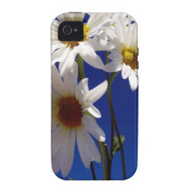 Pretty Daisies Vibe iPhone 4 Cases