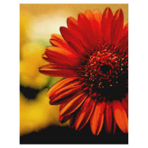 Pretty Detail of a Red Flower Full Color Flyer
