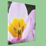 Pretty, elegant purple tulip flowers. canvas prints