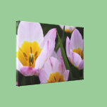 Pretty, elegant purple tulip flowers. canvas prints