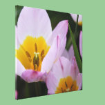 Pretty, elegant purple tulip flowers. Floral canvas prints