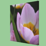 Pretty, elegant purple tulip flowers. Floral canvas prints