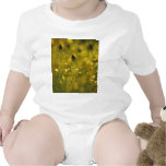 Pretty field of yellow flowers baby creeper