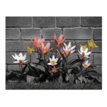 Pretty floral post card