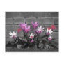 Pretty floral post card