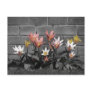 Pretty floral post card