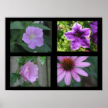 Pretty Flowers Collection Purple posters