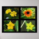Pretty Flowers Collection Yellow posters