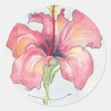 pretty hibiscus flower sticker