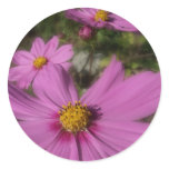 pretty in pink a round sticker