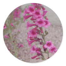 pretty in pink  floral sticker