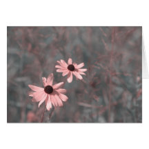 Pretty in pink - flowers Card