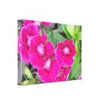 Pretty In Pink Flowers Gallery Wrapped Canvas