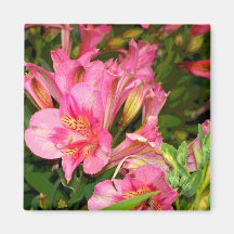 Pretty in Pink flowers Magnets