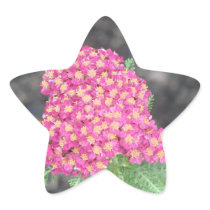 Pretty In Pink Flowers Star Sticker