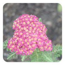 Pretty In Pink Flowers Square Sticker