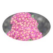 Pretty In Pink Flowers Stickers
