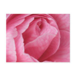 Pretty in Pink postcards