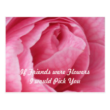 Pretty in Pink Postcard