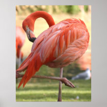 Pretty in pink posters