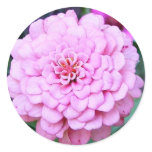 Pretty in Pink stickers