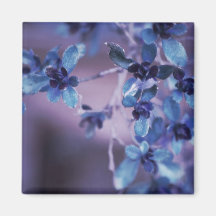 Pretty In Purple Fridge Magnet
