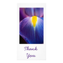 Pretty in Purple Iris Thank You Cards Photo Card