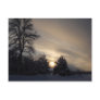 Pretty January Winter Sunset Postcard