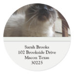 Pretty Kitty Address Labels stickers