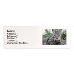 Pretty Kitty Business Card