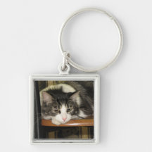 Pretty Kitty Keychain