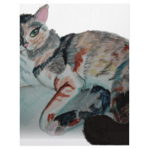 pretty kitty custom letterhead