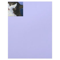 Pretty Kitty Letterhead Template
