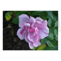 Pretty Lady 092 Greeting Cards