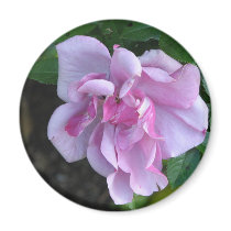Pretty Lady 092 Refrigerator Magnet