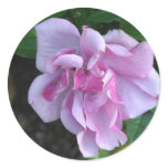 Pretty Lady 092 Sticker