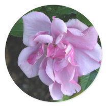 Pretty Lady 092 Sticker