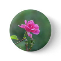 Pretty Lady 093 Pinback Buttons