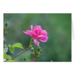 Pretty Lady 093 Greeting Cards