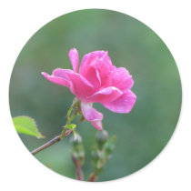 Pretty Lady 093 Sticker