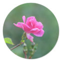 Pretty Lady 093 stickers