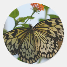 Pretty Lady - Butterfly Sticker
