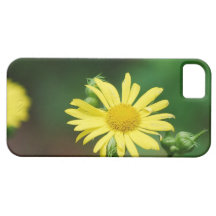 Pretty Leopard's Bane iPhone 5 Case