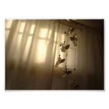 Pretty Little Angels in the Window Photographic Print