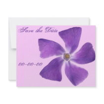Pretty 'Little Purple Flowers' Floral Design Personalized Announcement
