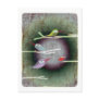 pretty love birds poem moon magic hope lomography