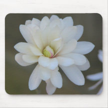 Pretty Magnolia Centennial  Bloom Mouse Mat