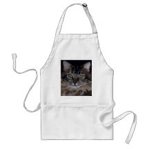 Pretty Maine Coon Cat Apron