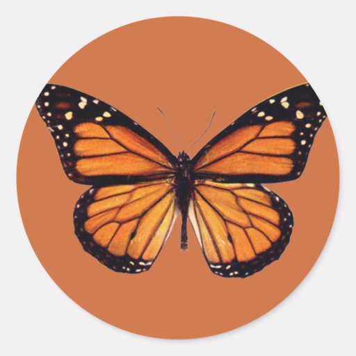 Pretty Monarch Butterfly Round Stickers